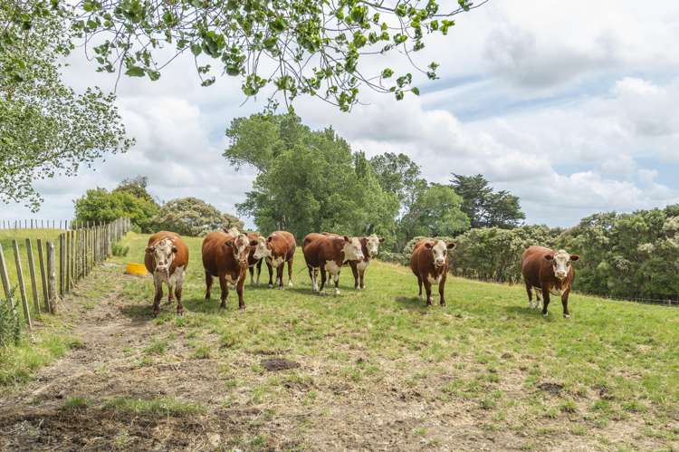 1358 Makirikiri Road Turakina_11