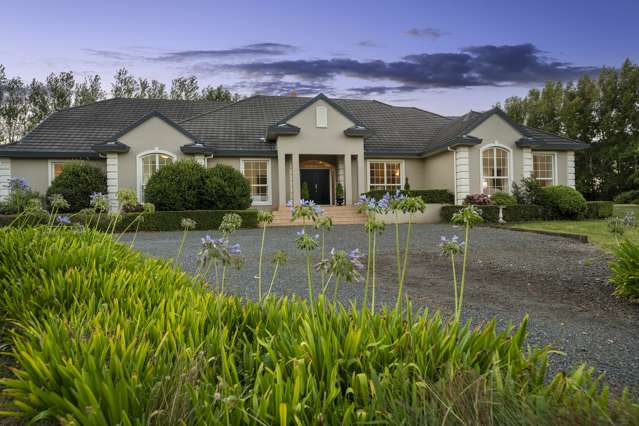 295 Postman Road Dairy Flat_2