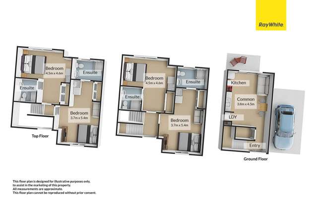 6/47 Cameron Road Hamilton East_1