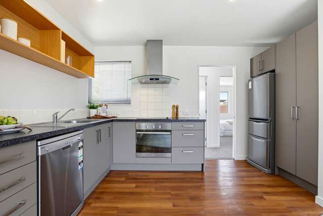 1/13 Elizabeth Street Riccarton_4
