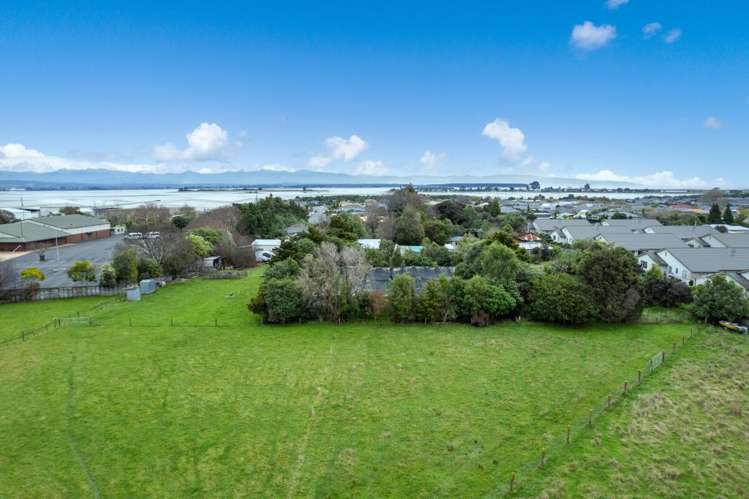 419 Nayland Road Stoke_6