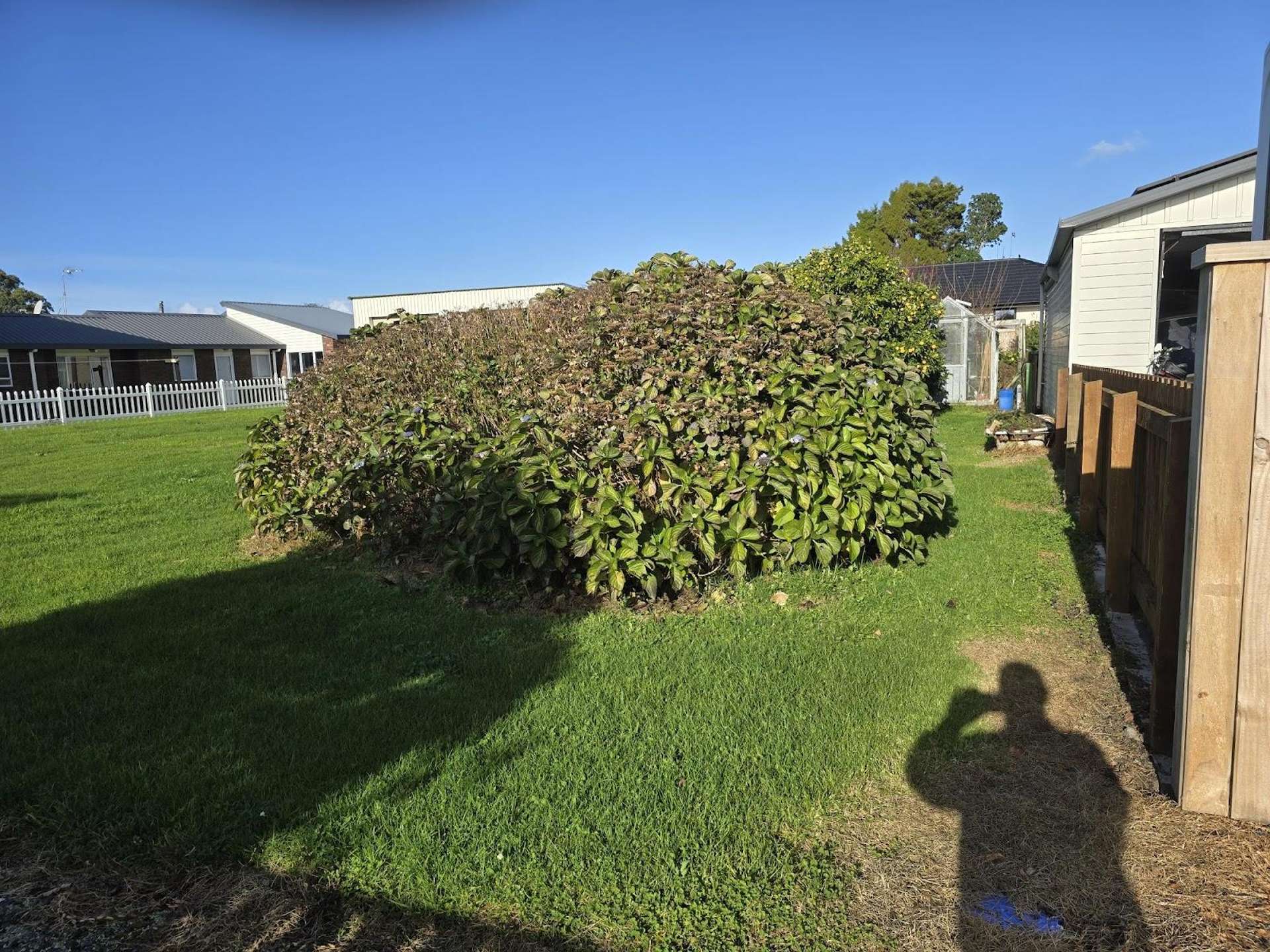 43/A Princess Street Waitara_0