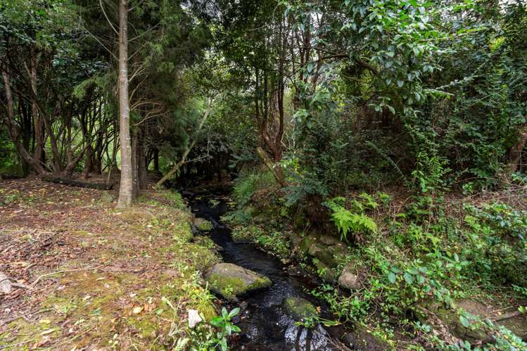 84 Cooper Road Ramarama_29