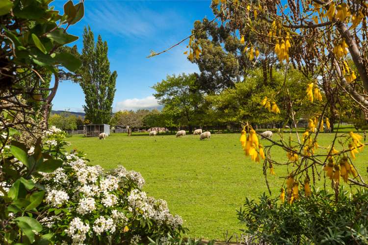 11 Mallard Place Mosgiel_22