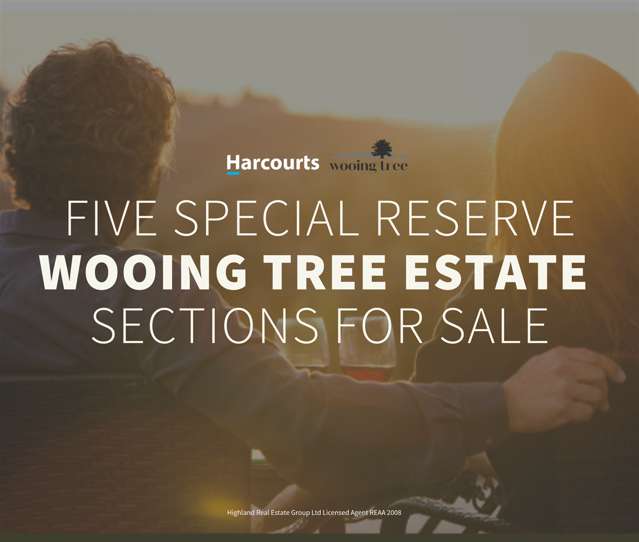 Lot 538 Wooing Tree Estate Cromwell_1