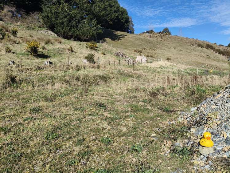 24 Campbelton Street Lawrence_2