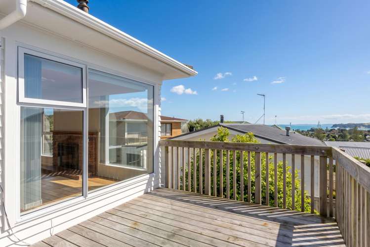 772 Whangaparaoa Road Manly_13