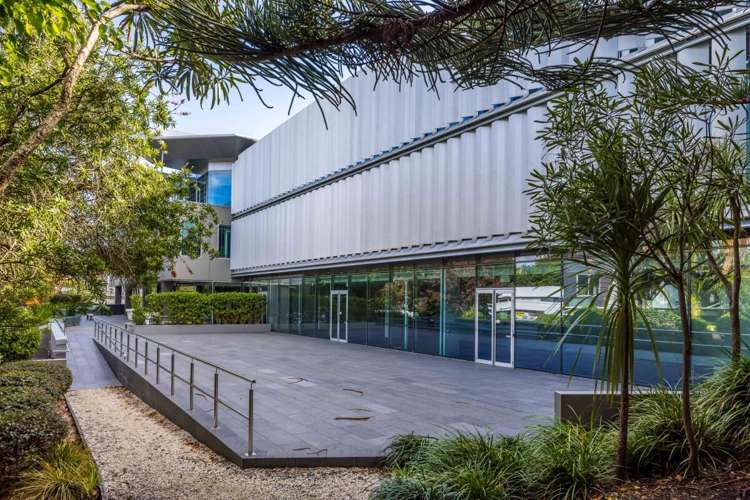 27 Napier Street Freemans Bay_1