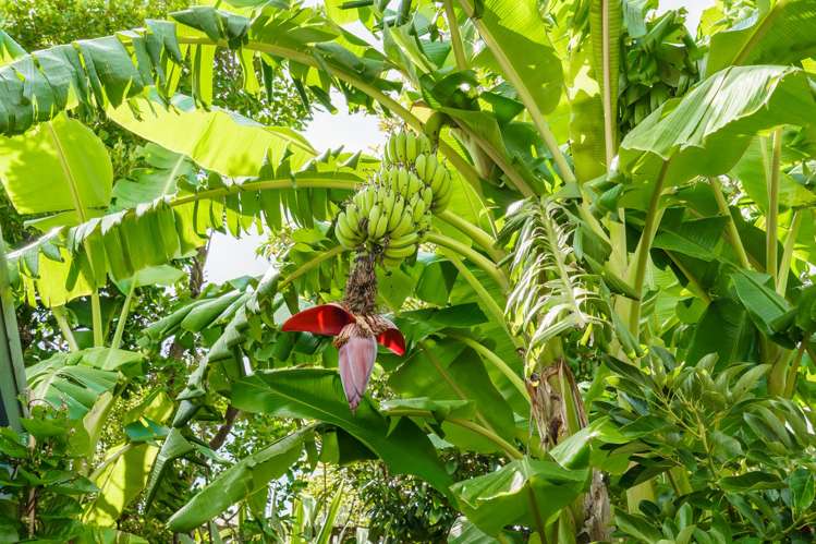 44 Ewing Road Riverside_13