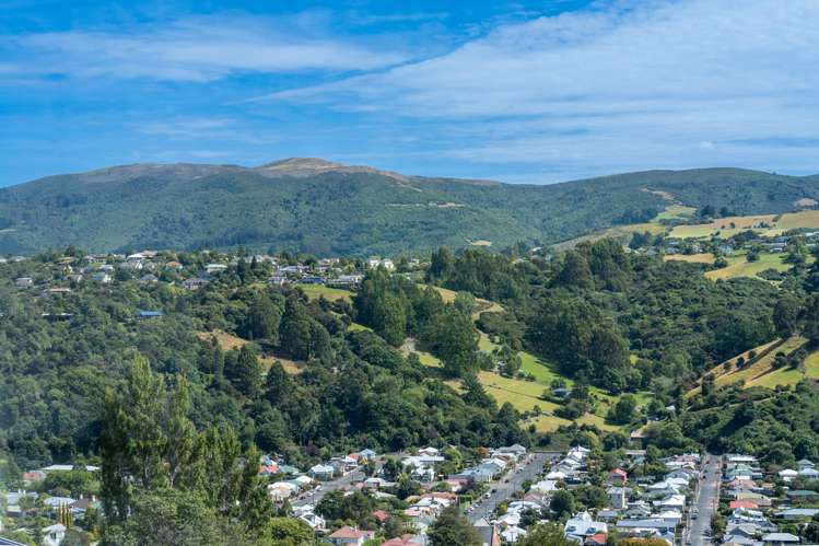 126 Evans Street Opoho_15