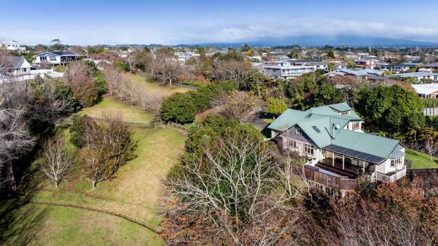 192 A&B Mangorei Road Merrilands_1