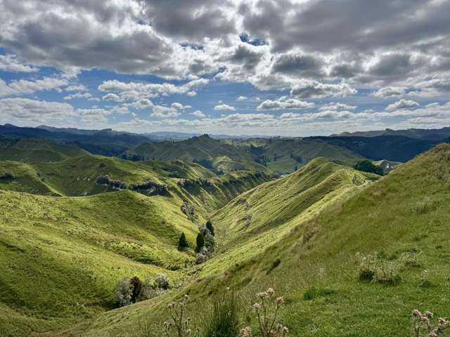 213 Parihauhau Road Parikino_1