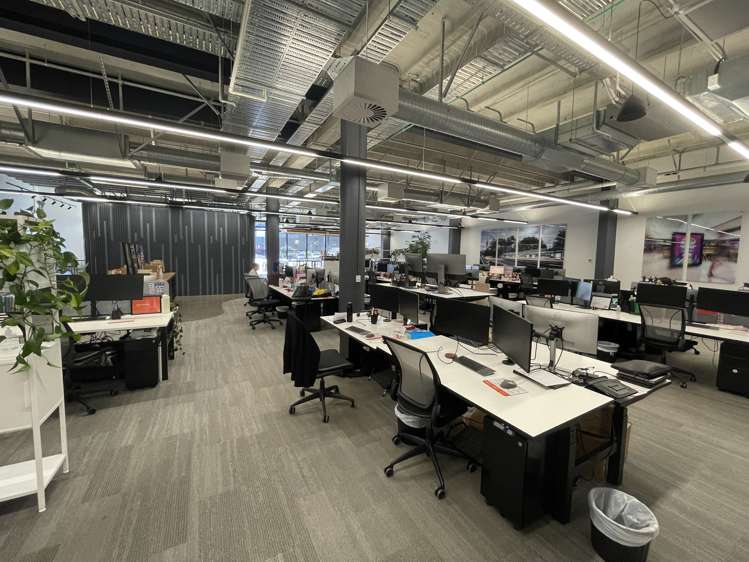 22 Pollen Street Grey Lynn_7