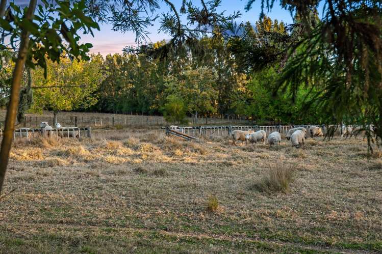 459 Coatesville-Riverhead Highway Coatesville_25