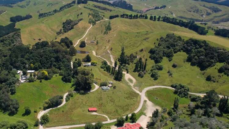 1543 Annedale Road Tinui_0