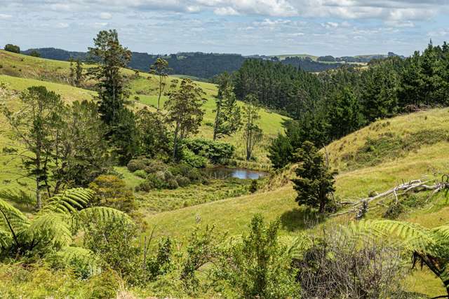 1403 Russell Road Helena Bay_4