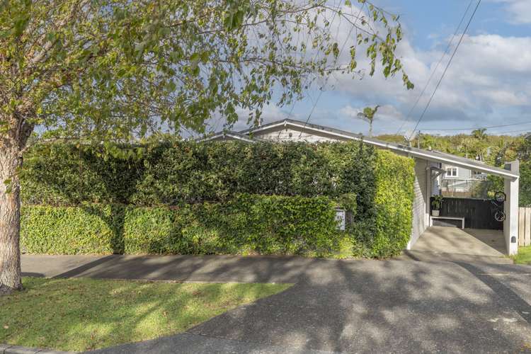 41 Chester Avenue Westmere_21