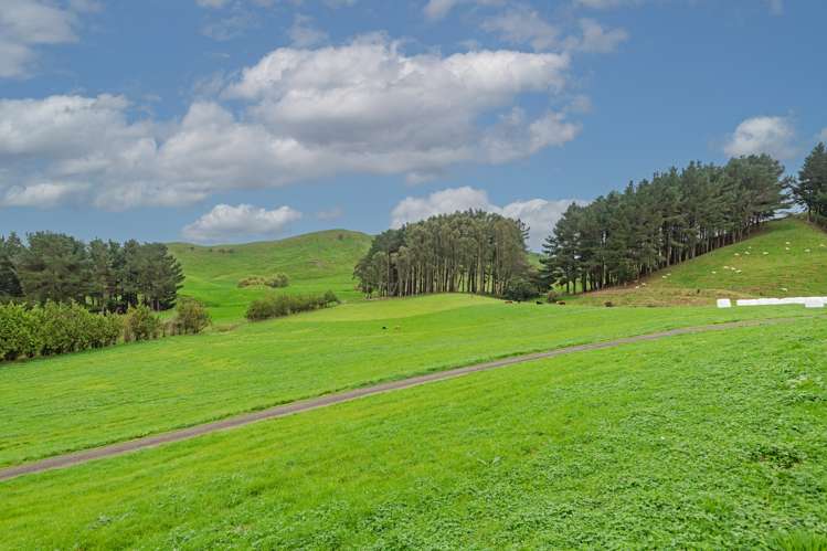 68 Fauvels Road Eketahuna_18