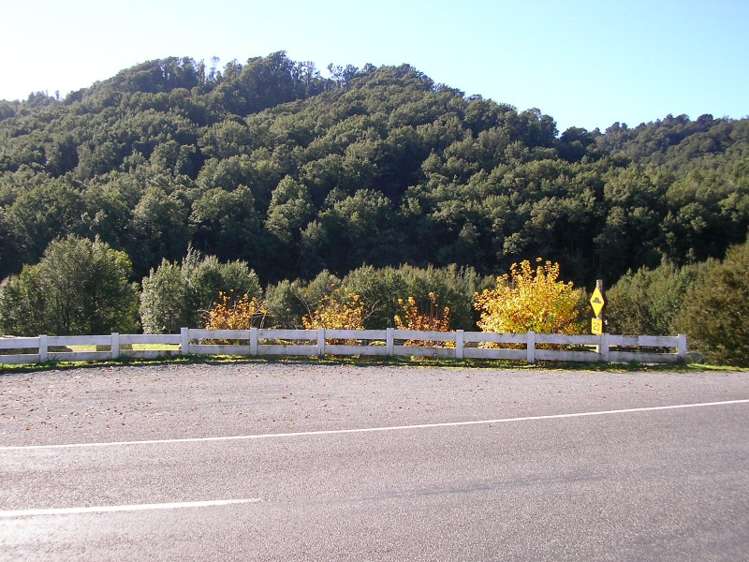 624 Nelson Creek Road Nelson Creek_10