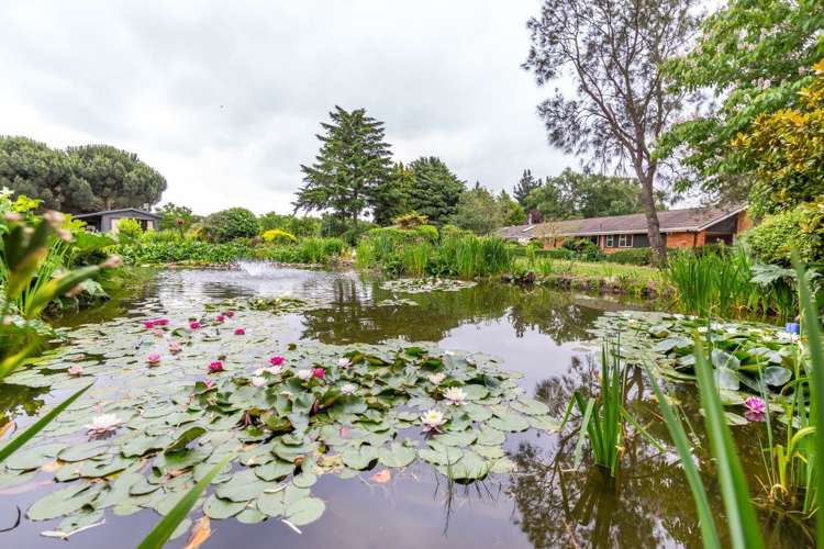 439 Dawsons Road Templeton_20