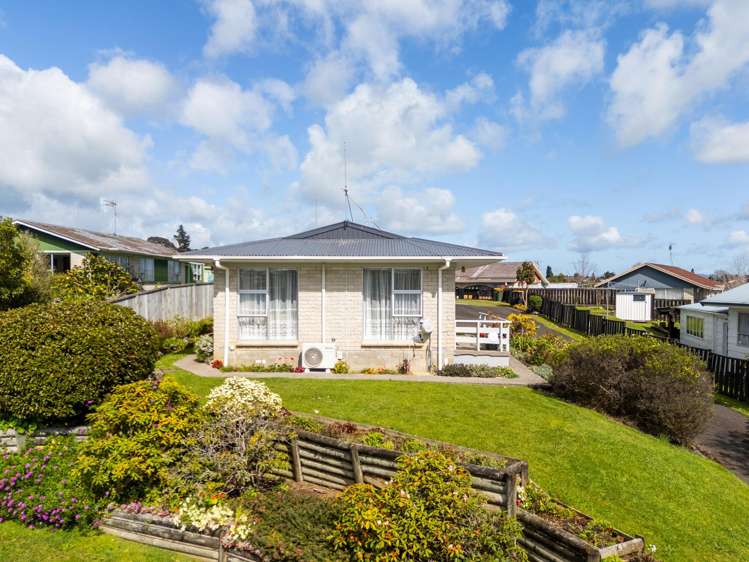 12A Millar Place Nawton_1