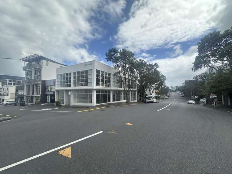 36 Karaka Street Eden Terrace_4