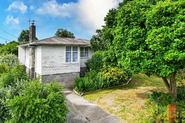 118 Mahia Road Manurewa_1