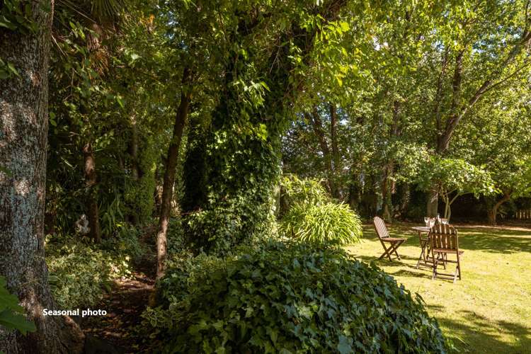 41 New Renwick Road Burleigh_22