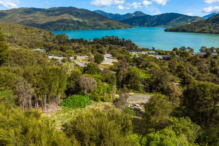 Lot 42 Kaiuma Bay Marlborough Sounds Marlborough Rural Property For Sale One Roof