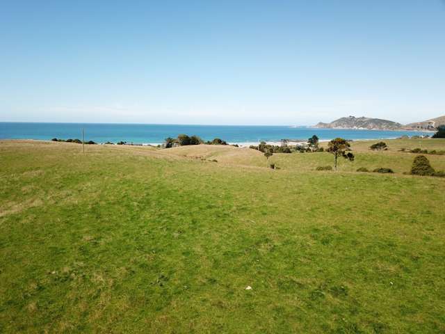 290 The Nuggets Road South Otago Coastal_4