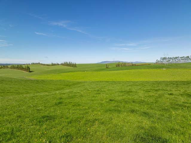 85 - 131 Garden Gully Road Te Kiteroa_1