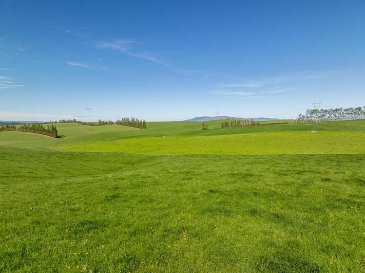 85 - 131 Garden Gully Road Te Kiteroa_1