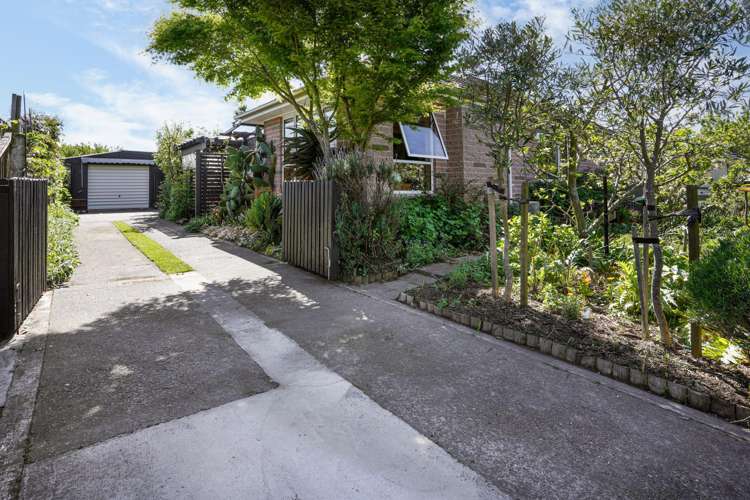 10 Brabourne Street Hillsborough_17