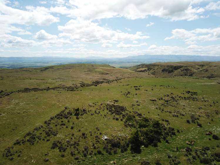 Hamilton Diggings Road Kokonga_5