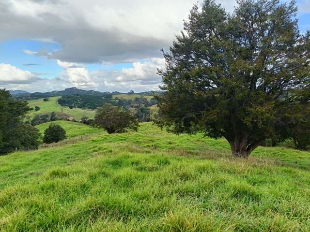 426 Wairere Road Paparoa_1