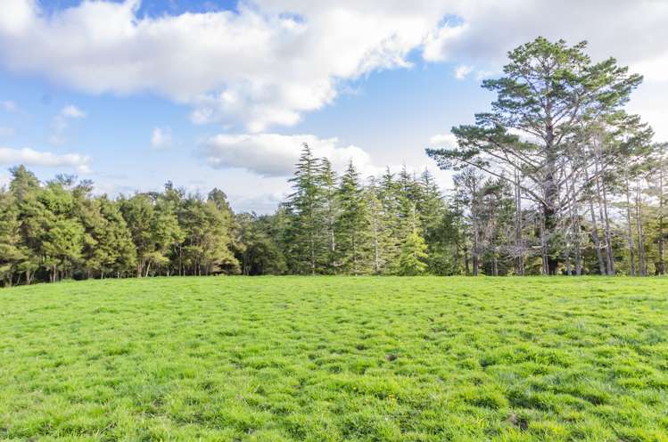 46 Harry Dreadon Road Opaheke_8