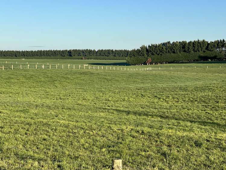 35 Heads Road Woodlands_4