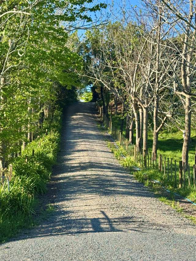 74B Willoughby Road Katikati_2