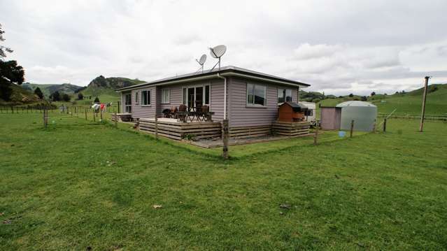 450 Ramaroa Road Aria_3