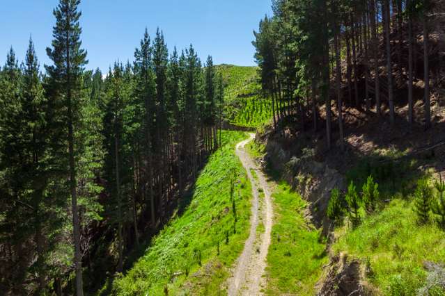 Waihopai Valley Road Waihopai Valley_4