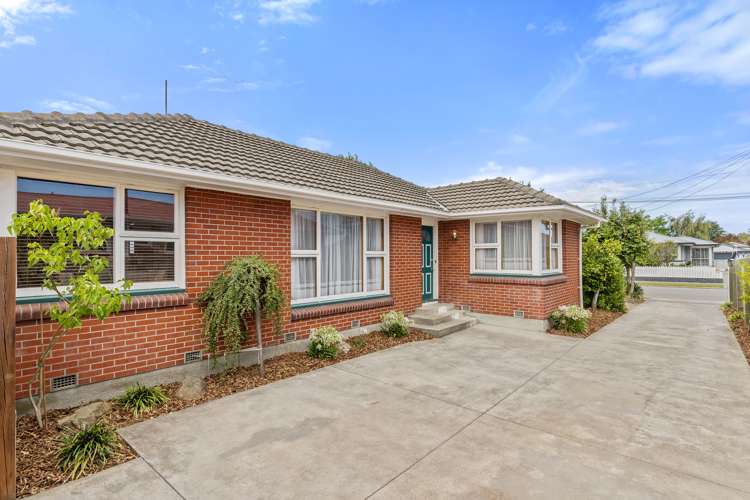 33 Wingate Street Redwood_11