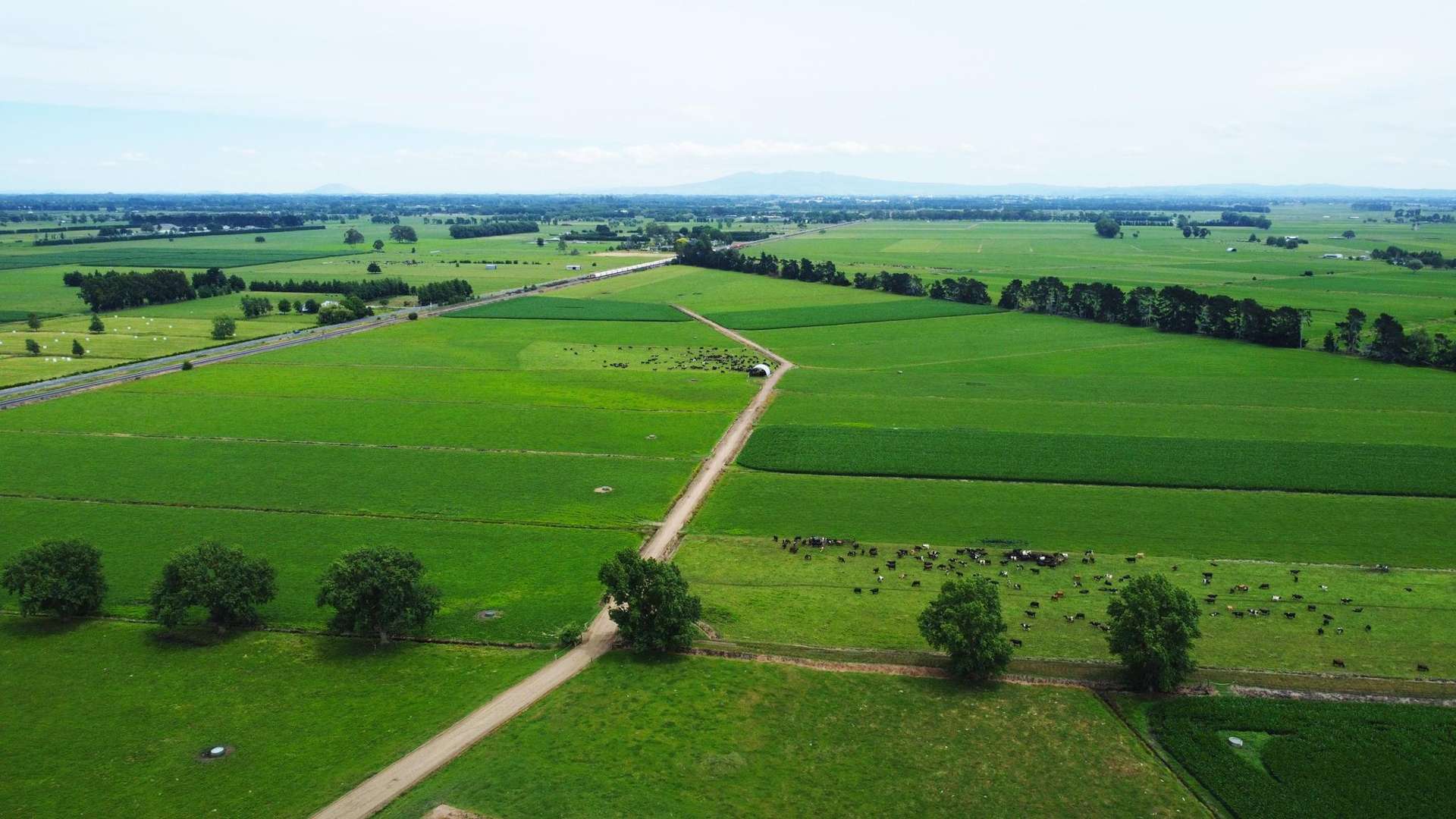 51A Waverley Road Gordonton_0