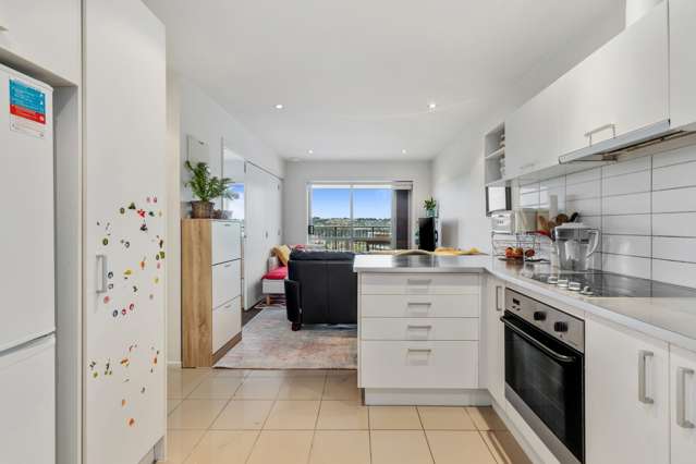 C14/60 Masons Road Oteha_4