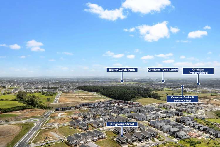 9 Cyperus Street Flat Bush_27