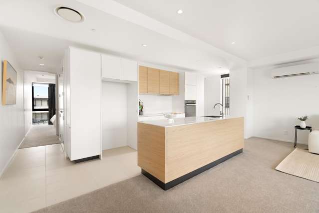 301/1 Bluegrey Avenue Stonefields_2