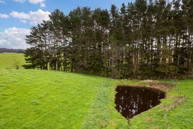 915 Old North Road Waimauku_28