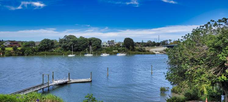 1/12 Bridge Street Panmure_19