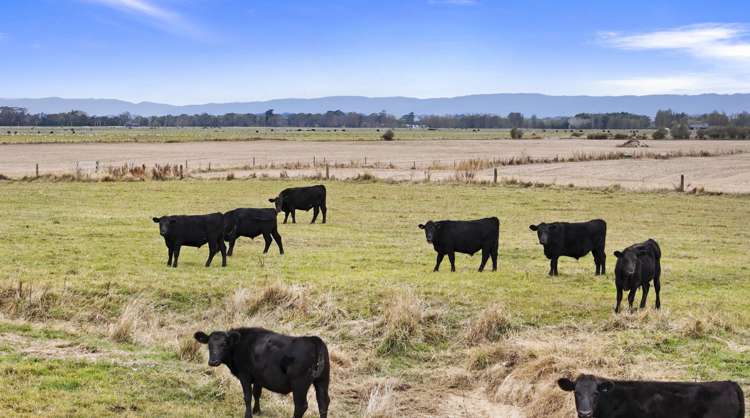 652 Makino Road Feilding_8