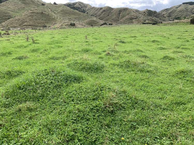 138 Quarry Road Stratford_14