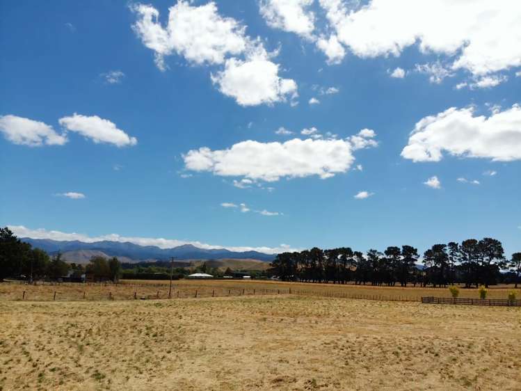 445 Paierau Road Opaki_18